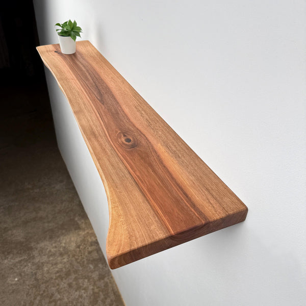 a wooden shelf mounted on a white wall, with a small potted plant placed on top of it.