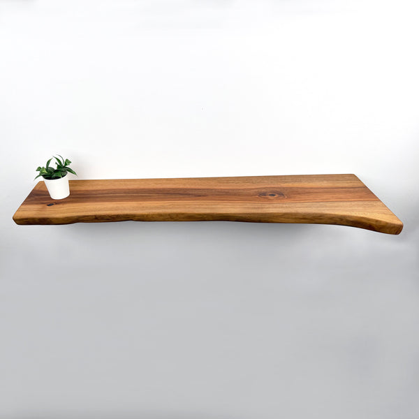 A wooden floating shelf with a potted plant on it, set against a plain white wall.
