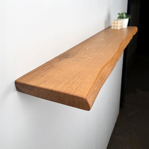 A wooden shelf mounted on a white wall, with a small plant on the shelf and a white object on the wall.